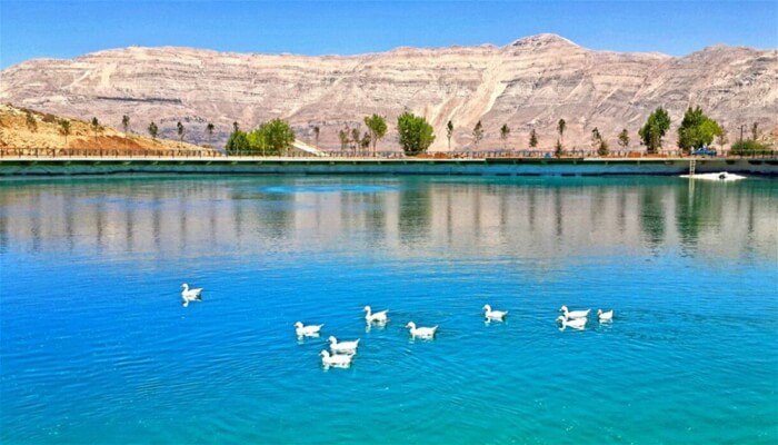 Lake Activities: Boats & Pedalos